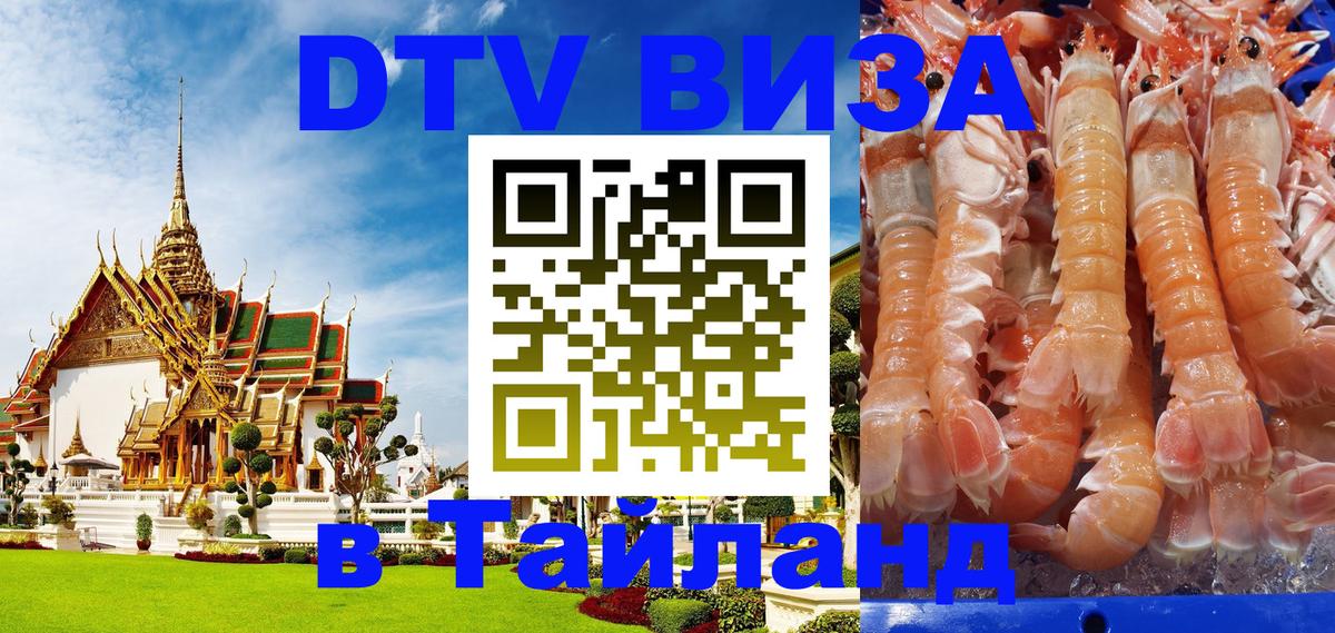 Оформление DTV визы под ключ: стоимость и тарифы, только загранпаспорт - 19.11.2025 